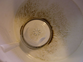 Remains of sediment in the filter bowl.
