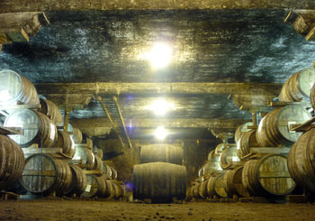 The aging cellar at Meukov Cognac.