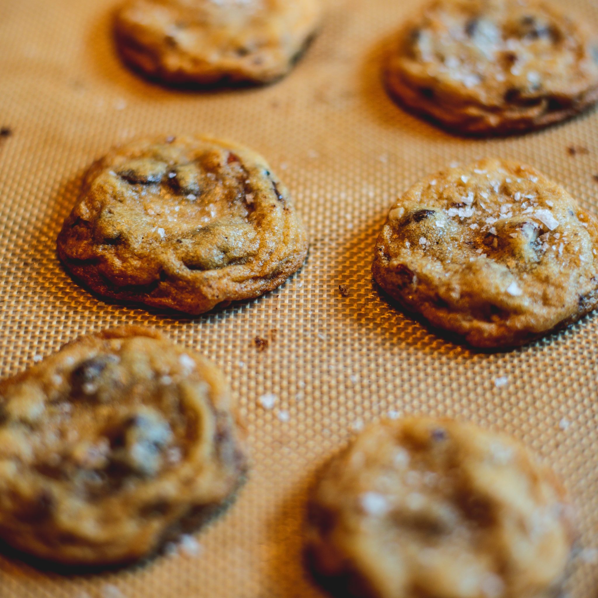 A Cookie Maker's Best Friend - A Dehydrator - Your Baking Bestie